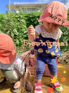 食育
